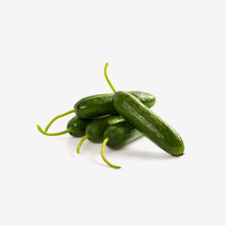 Bottol Gaurd (Lauki) – Bild 3