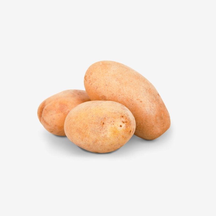 Sprouting Broccoli – Bild 3